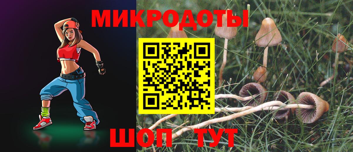 Псилоцибиновые грибы Psilocybe  купить наркоту  Барнаул  Псилоцибиновые грибы мухоморы  Вход с VPN 